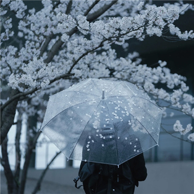 下雨天氛围感女头 好好看的优质女头