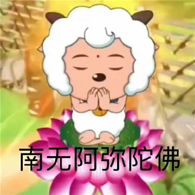 很爱用的搞怪沙雕表情包 你继续吹我帮你伴奏了