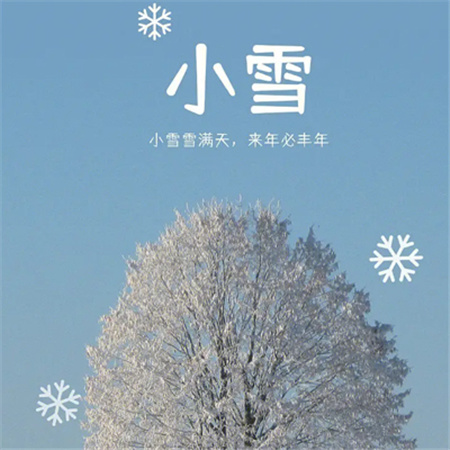 2023小雪节气唯美配图高清发朋友圈 小雪雪满天来年必丰年