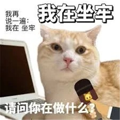 大学生哪有不疯的精神稳定表情包 适合大学生用的万能表情