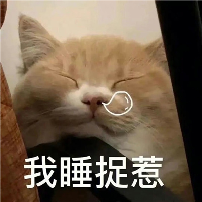 最新版猫咪有病表情大全 暴躁冷酷猫咪的好用表情合集