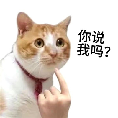 最新版猫咪有病表情大全 暴躁冷酷猫咪的好用表情合集