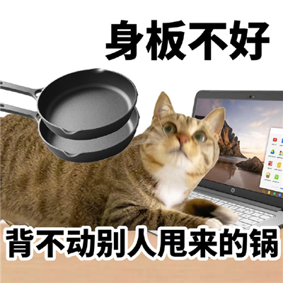 2024阴阳怪气的猫猫表情 讲话阴阳怪气表情合集