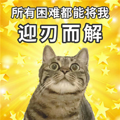 2024阴阳怪气的猫猫表情 讲话阴阳怪气表情合集