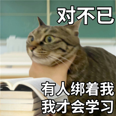 2024阴阳怪气的猫猫表情 讲话阴阳怪气表情合集