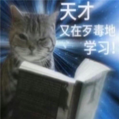 2024小猫咪沙雕表情大全 天才又在歹毒的学习