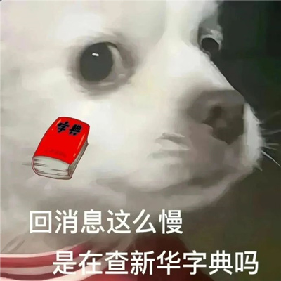 有趣表情很搞怪又快乐 说的很好下次别说了