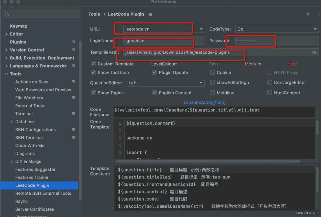 Goland配置leetcode的实现示例