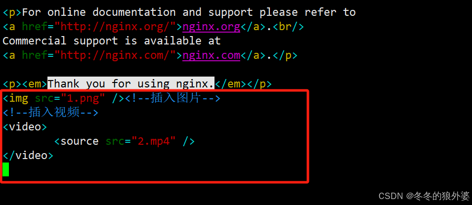 搭建高效网络文件系统（NFS）与Web服务器：步骤与最佳实践